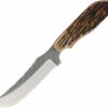 AZ709AJB Anza Fixed Blade Knife Amber Bone 2 AZ709AJB Anza Fixed Blade Knife Amber Bone -US Knives Sales 2024 AZ709AJB