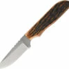 AZSP3AJB Anza Fixed Blade Knife Amber Bone -US Knives Sales 2024 AZSP3AJB