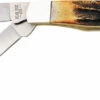 BC507 Bear & Son Mini Trapper Pocket Knife Stag 1 BC507 Bear & Son Mini Trapper Pocket Knife Stag -US Knives Sales 2024 BC507
