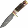 BCB125DS Blackjack Classic Model 125 Knife Stag Bone Damascus -US Knives Sales 2024 BCB125DS